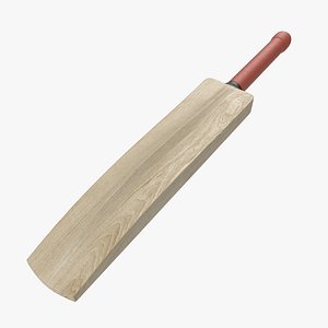 cricket bat modeled 3ds