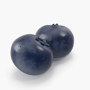 Blueberrys 3D