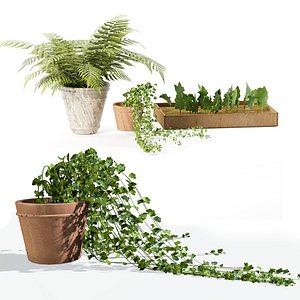 3 pot plants 3d model