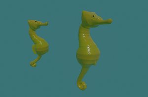 seahorse sea horse 3D