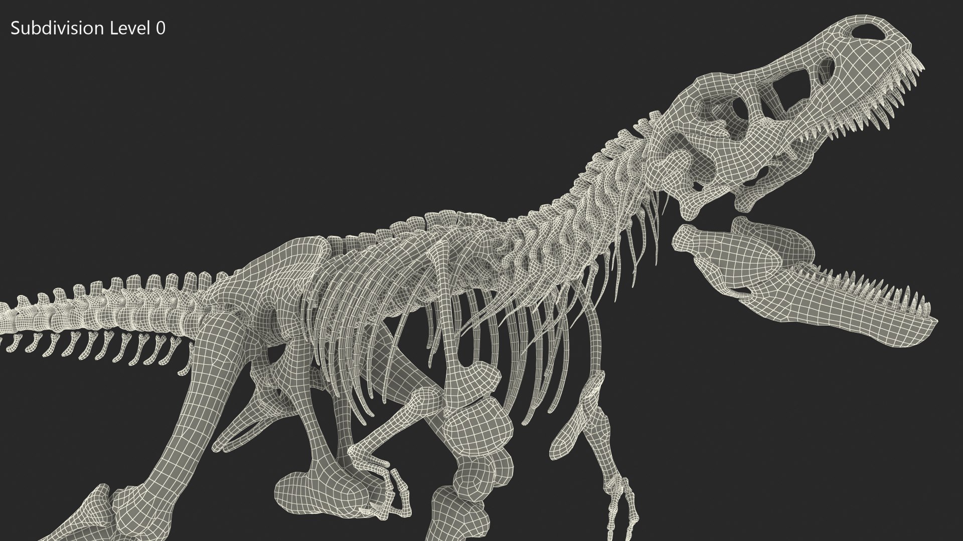 Tyrannosaurus Rex Skeleton Standing 3D Model - TurboSquid 1484378