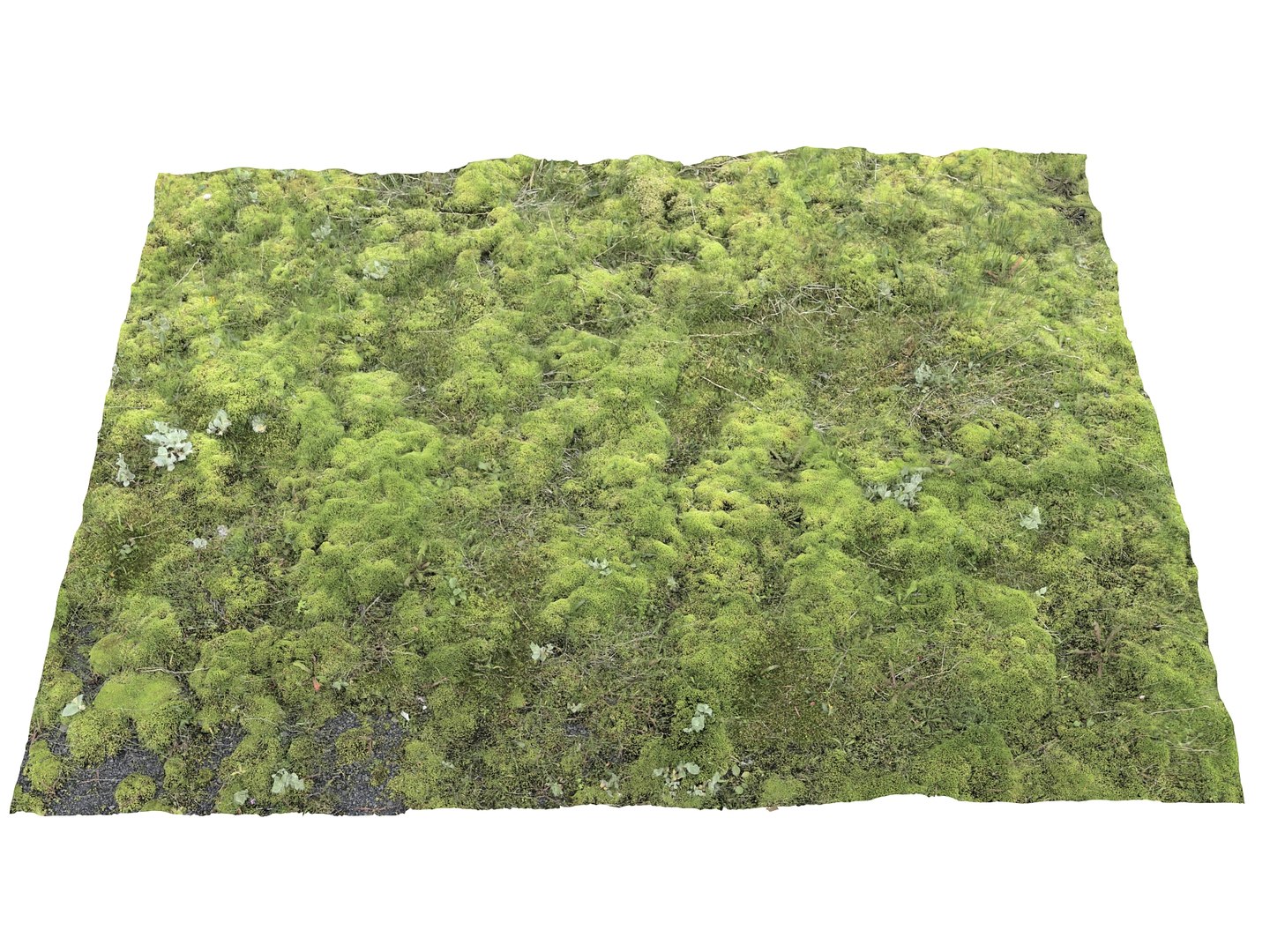 ground iceland model https://p.turbosquid.com/ts-thumb/Od/X4JhQA/4B/23/jpg/1616600643/1920x1080/fit_q87/65a4827345fc22d13f44534d4619693ac349e4e8/23.jpg