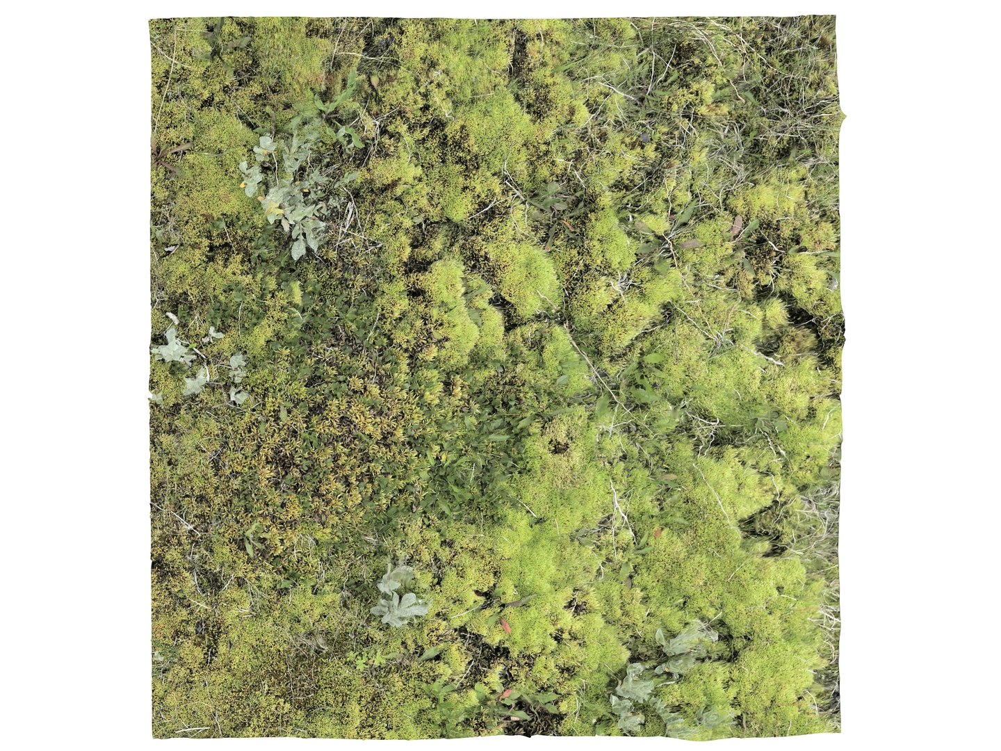 ground iceland model https://p.turbosquid.com/ts-thumb/Od/X4JhQA/SY/20/jpg/1616600628/1920x1080/fit_q87/06d4b3a3264153a2221b2e1d55f86a99183d7e3d/20.jpg
