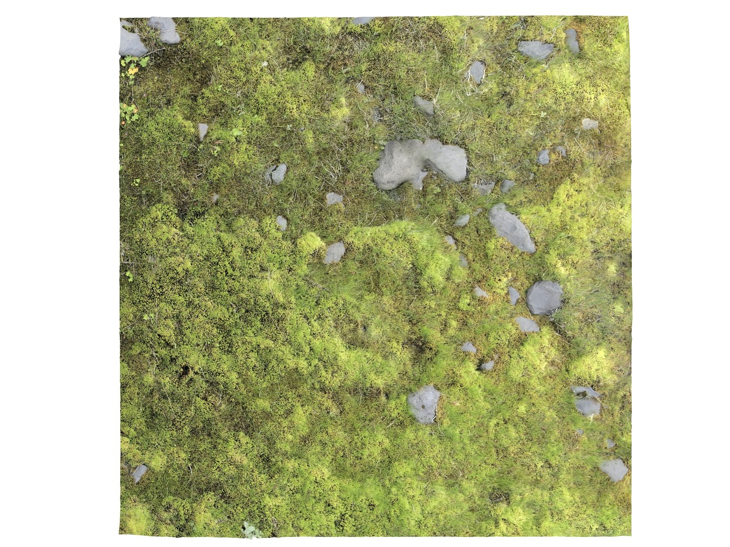 ground iceland model https://p.turbosquid.com/ts-thumb/Od/X4JhQA/TY/14/jpg/1616600581/1920x1080/fit_q87/e63cabcb1978013aad696221456a04aadb9809c4/14.jpg