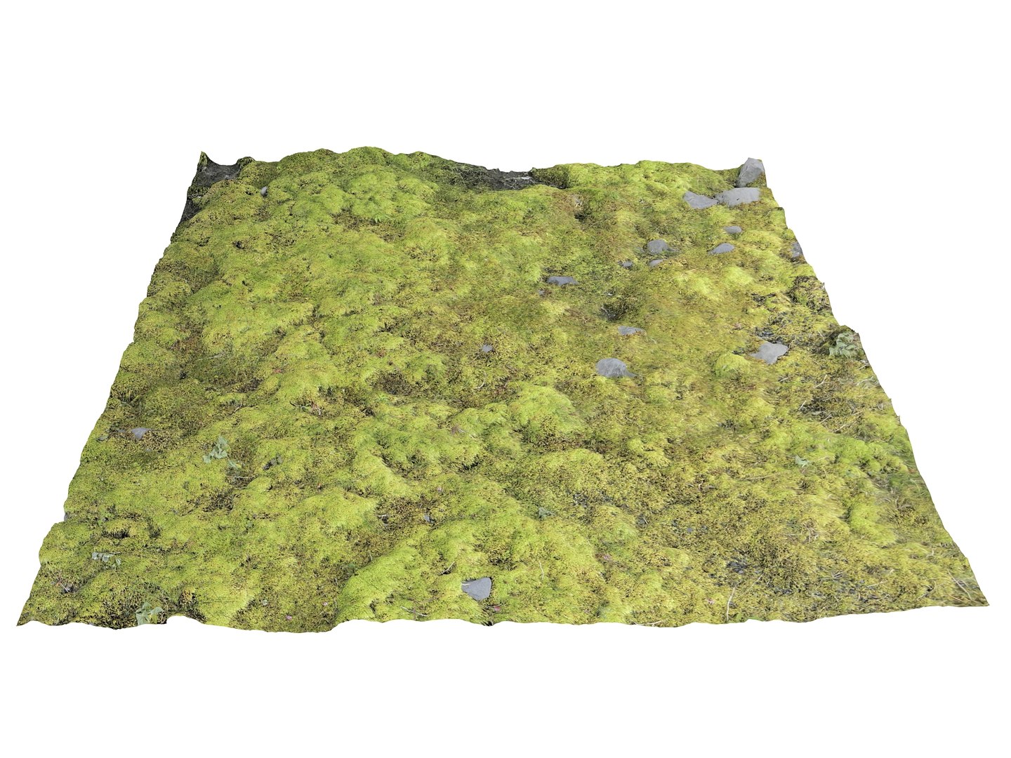 ground iceland model https://p.turbosquid.com/ts-thumb/Od/X4JhQA/V1/12/jpg/1616600563/1920x1080/fit_q87/47a876f2959a124726cffc1ee5b1b65e117d4a0c/12.jpg