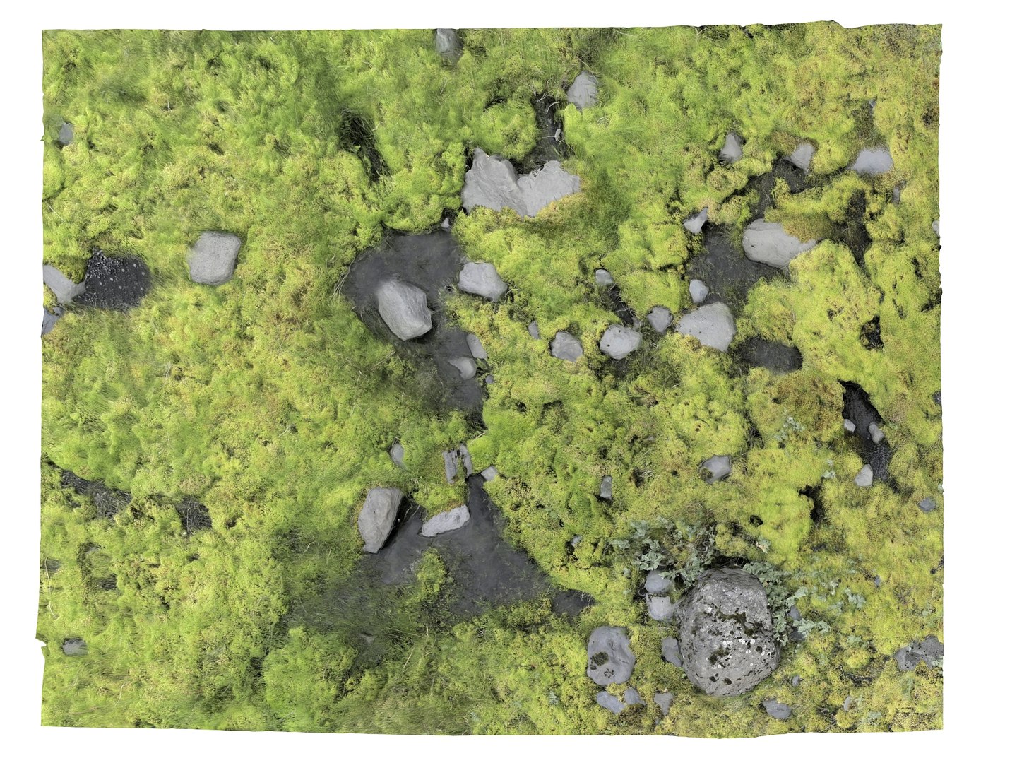 ground iceland model https://p.turbosquid.com/ts-thumb/Od/X4JhQA/W0/18/jpg/1616600608/1920x1080/fit_q87/e450470168ad9cb4742721892b9010bc9c94810a/18.jpg