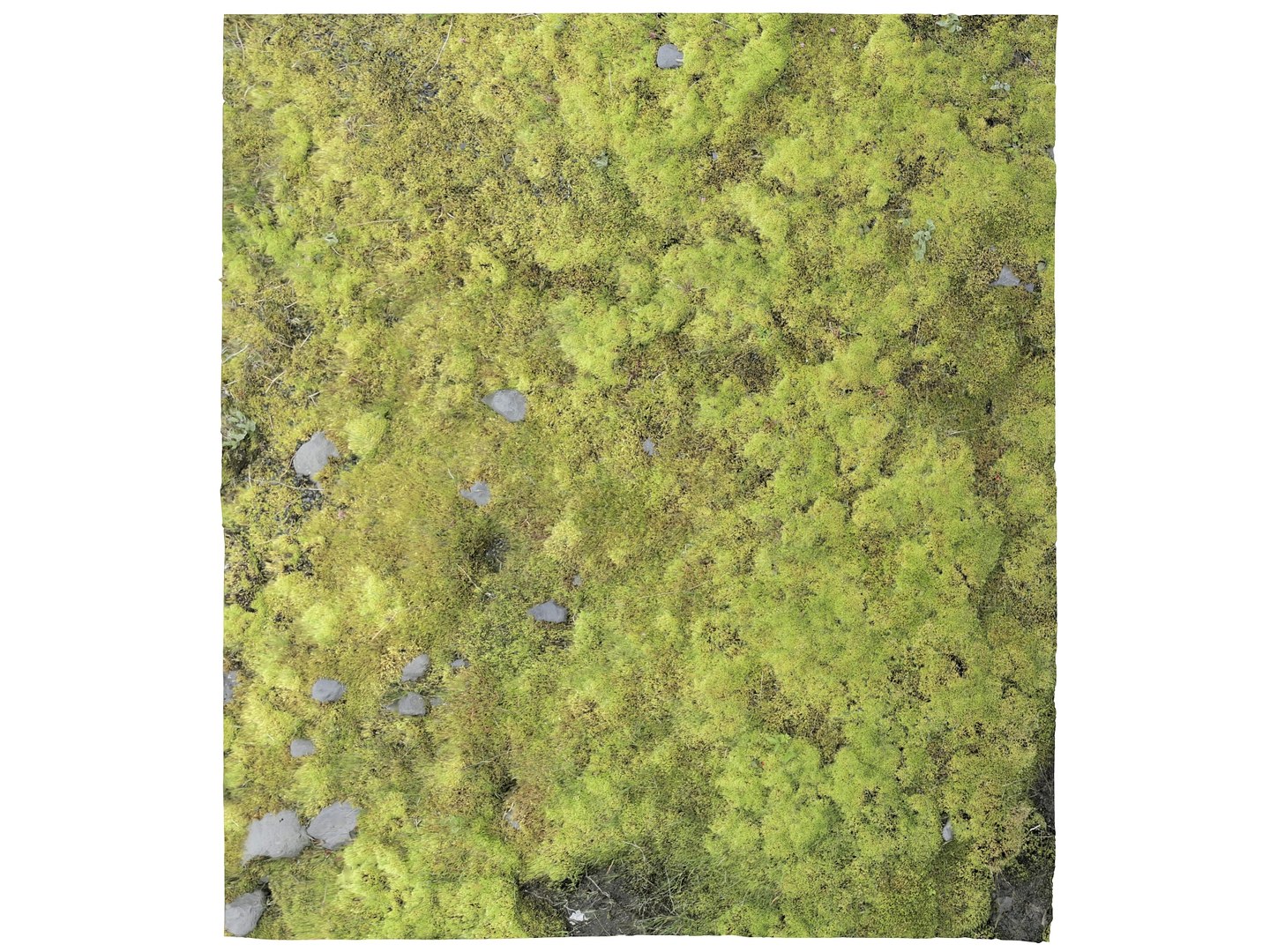ground iceland model https://p.turbosquid.com/ts-thumb/Od/X4JhQA/bh/11/jpg/1616600563/1920x1080/fit_q87/96cef38863dce2bf964ee7fc87d2491aed447c2d/11.jpg