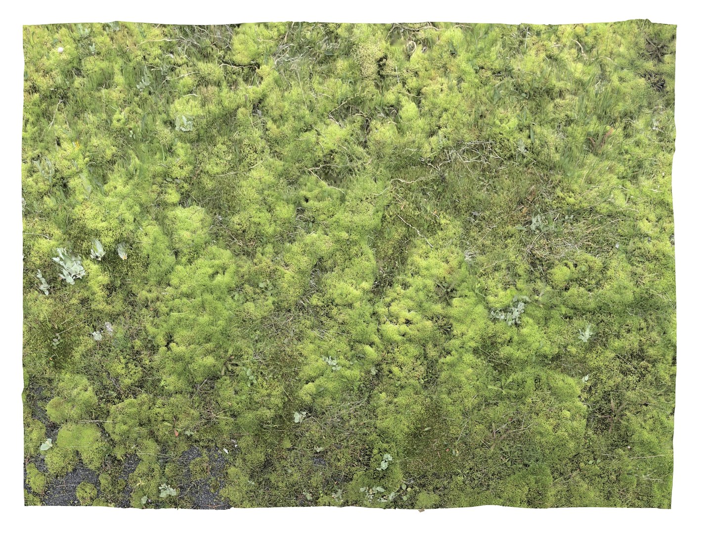 ground iceland model https://p.turbosquid.com/ts-thumb/Od/X4JhQA/cE/22/jpg/1616600641/1920x1080/fit_q87/96a72c70ee2dda0c661ad928576594bb7597aea8/22.jpg