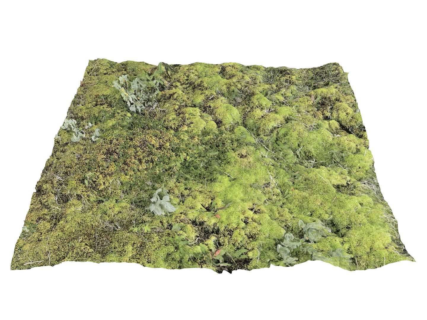 ground iceland model https://p.turbosquid.com/ts-thumb/Od/X4JhQA/vj/21/jpg/1616600626/1920x1080/fit_q87/aefbede061d9dbe712391c40ba872ef728d51748/21.jpg