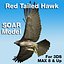 3ds max red tailed hawk soaring