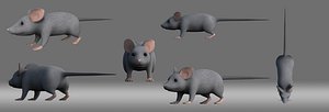 cartoon mouse model