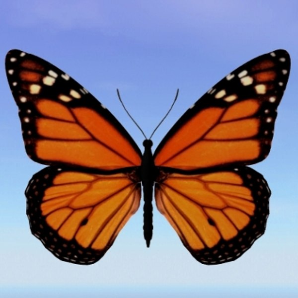 Monarca Modelo 3D - TurboSquid 167729