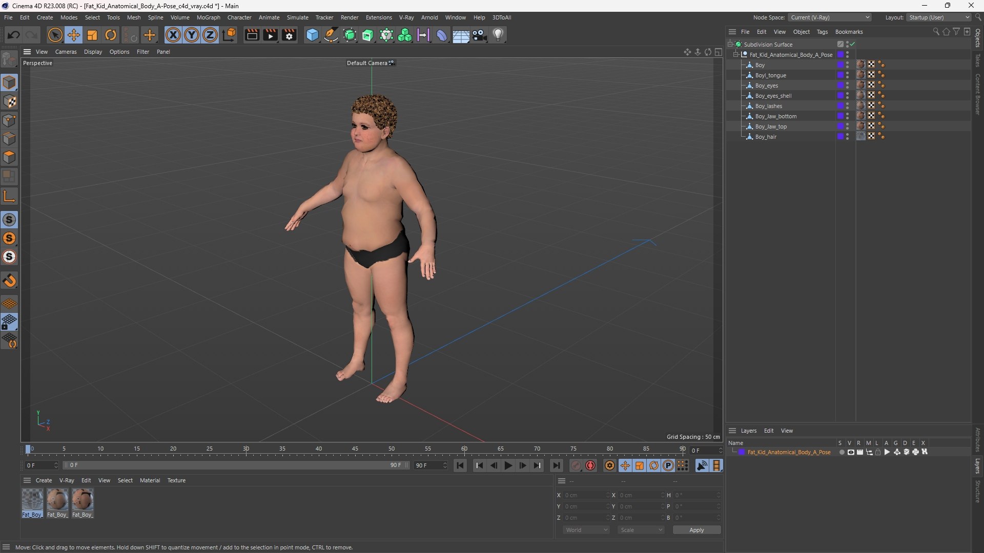 3D Fat Kid Anatomical Body A-Pose https://p.turbosquid.com/ts-thumb/Od/mozNit/NY/fat_kid_anatomical_body_apose_1003/jpg/1754288507/1920x1080/fit_q87/8e90bfa6dbc989e21f3ccfc55ed1e3ff107d467d/fat_kid_anatomical_body_apose_1003.jpg