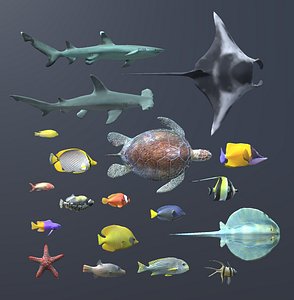 animals coral reef fish 3d x