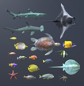 Coral Fish Pack