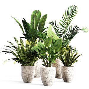 indoor Plant Set 01