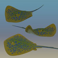 Blue Spotted StingRay Model:: Custom Rigged:: Hi-res Textures
