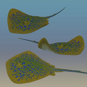 Blue Spotted StingRay Model:: Custom Rigged:: Hi-res Textures