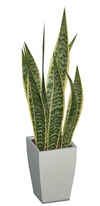 3D model foliage plant pbr