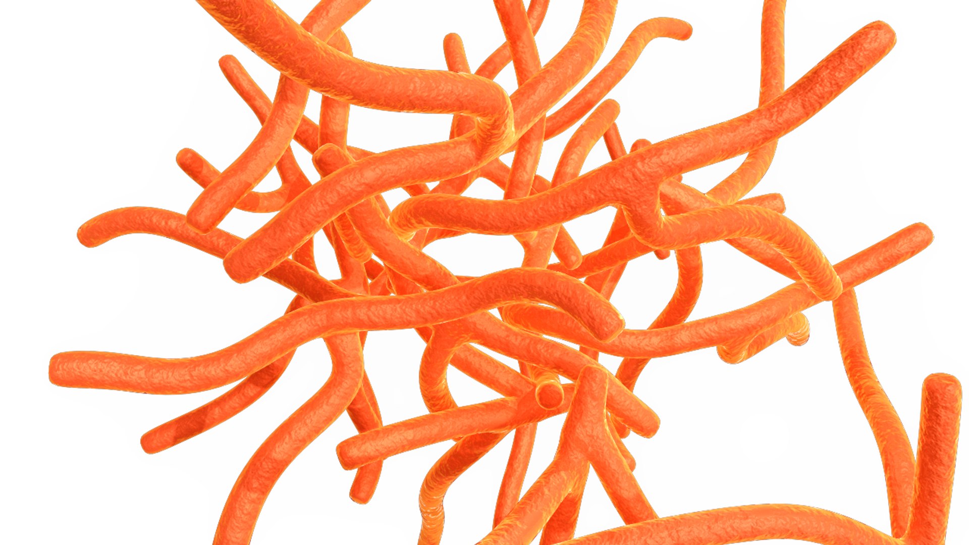 Actinomyces Infektionskrankheiten – NOPSQZ