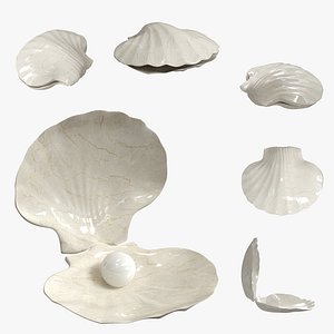 3D sea shell pearl decor