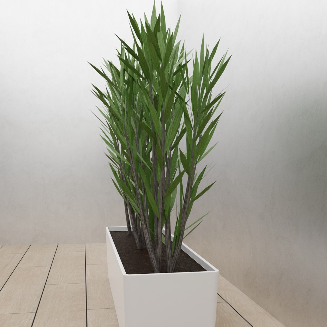 3D bushes in a pot model https://p.turbosquid.com/ts-thumb/Oe/JXIZqA/l4/4/png/1650394031/1920x1080/fit_q87/8bdc46205232c1ba1f9e7188ca62864521e5a5dc/4.jpg