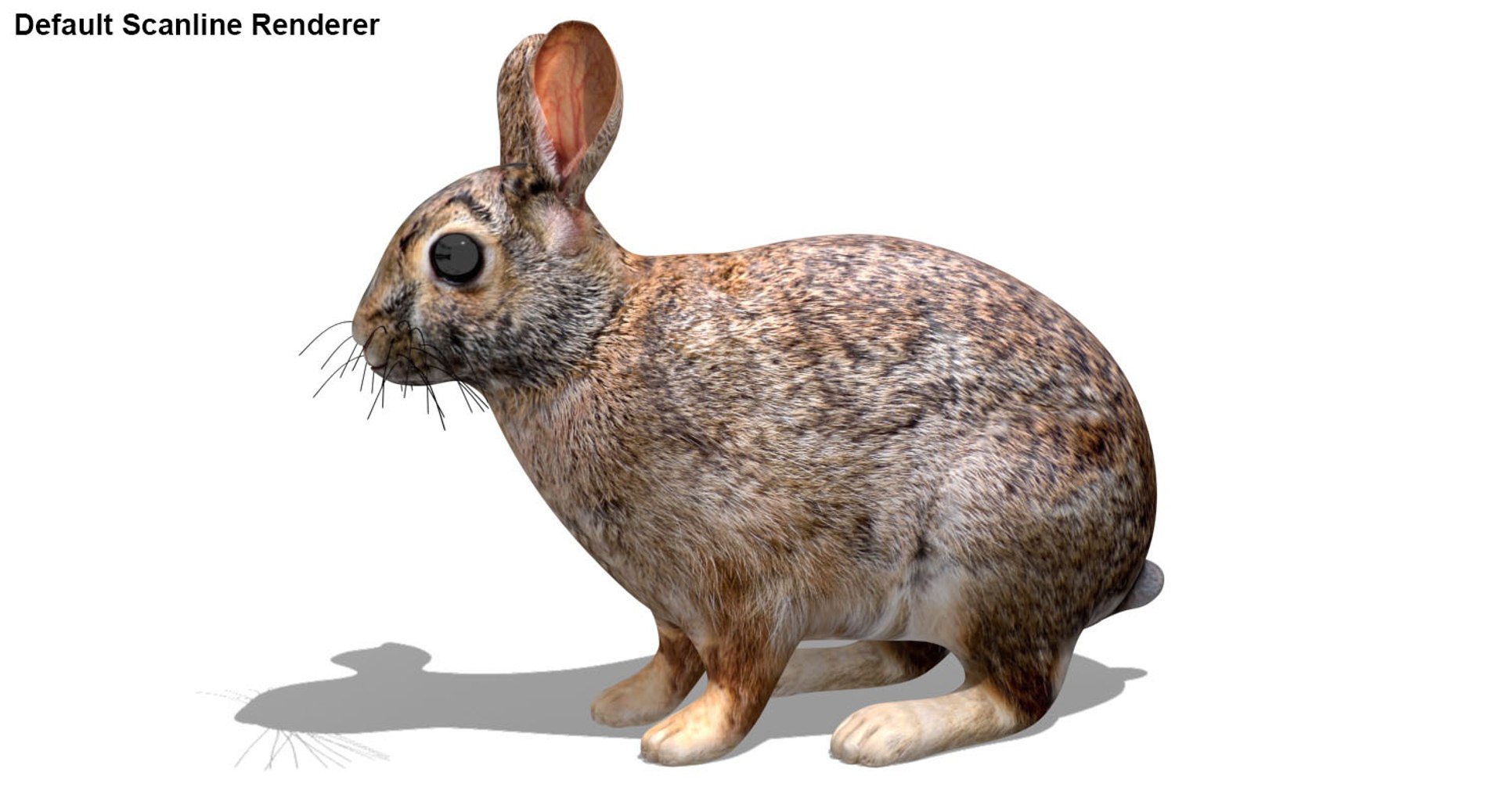 Realistic farm animals model - TurboSquid 1399749