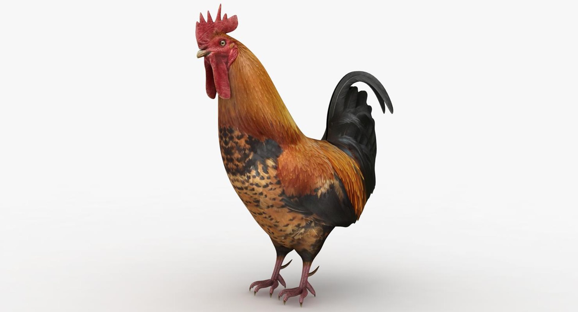 Realistic farm animals model - TurboSquid 1399749
