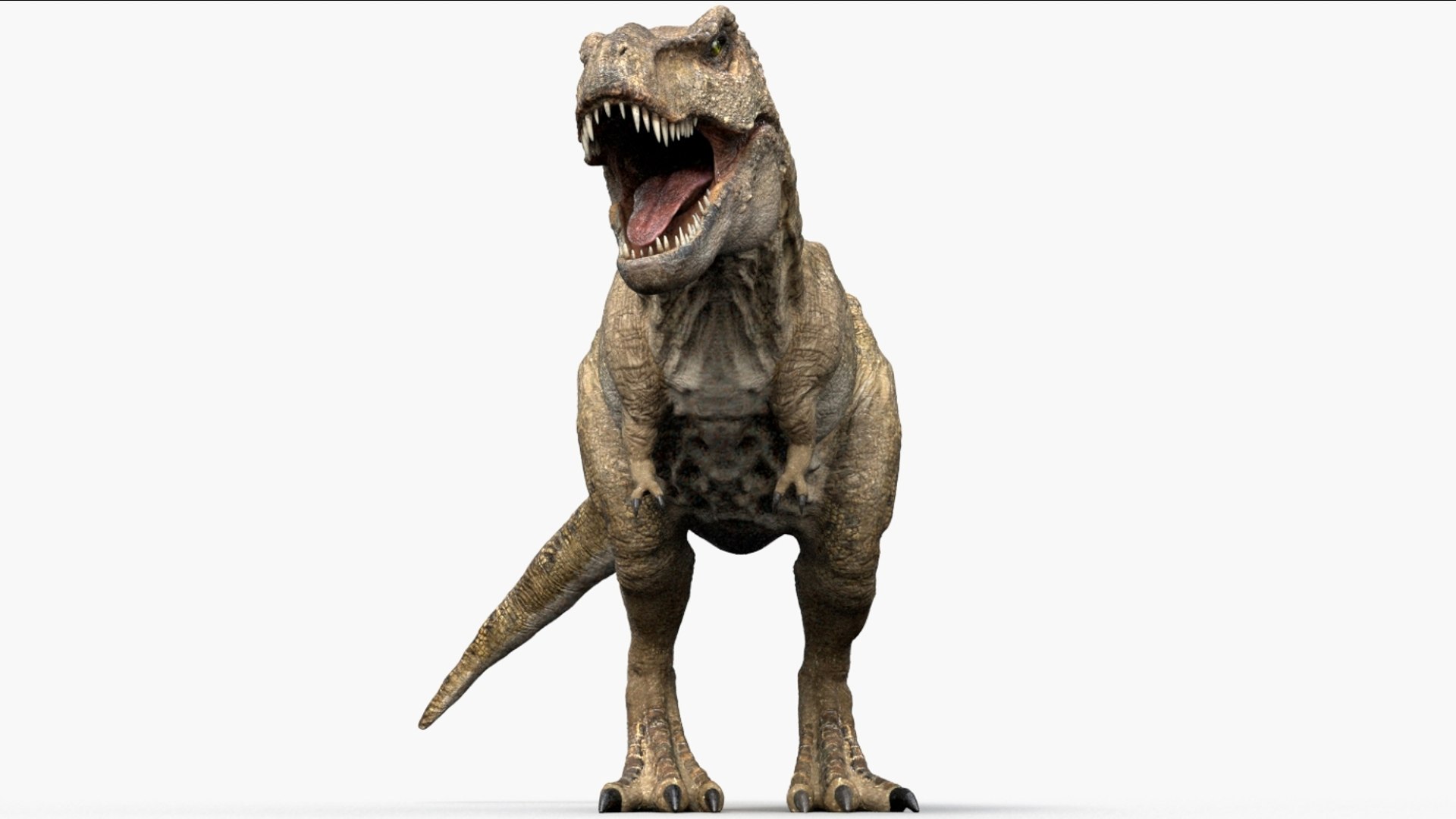 Tyrannosaurus Rex Animated Rigged 3D 3D Model - TurboSquid 2424378