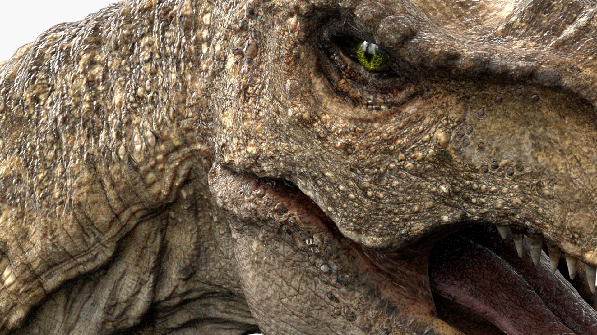 Tyrannosaurus Rex Animated Rigged 3D 3D Model - TurboSquid 2424378