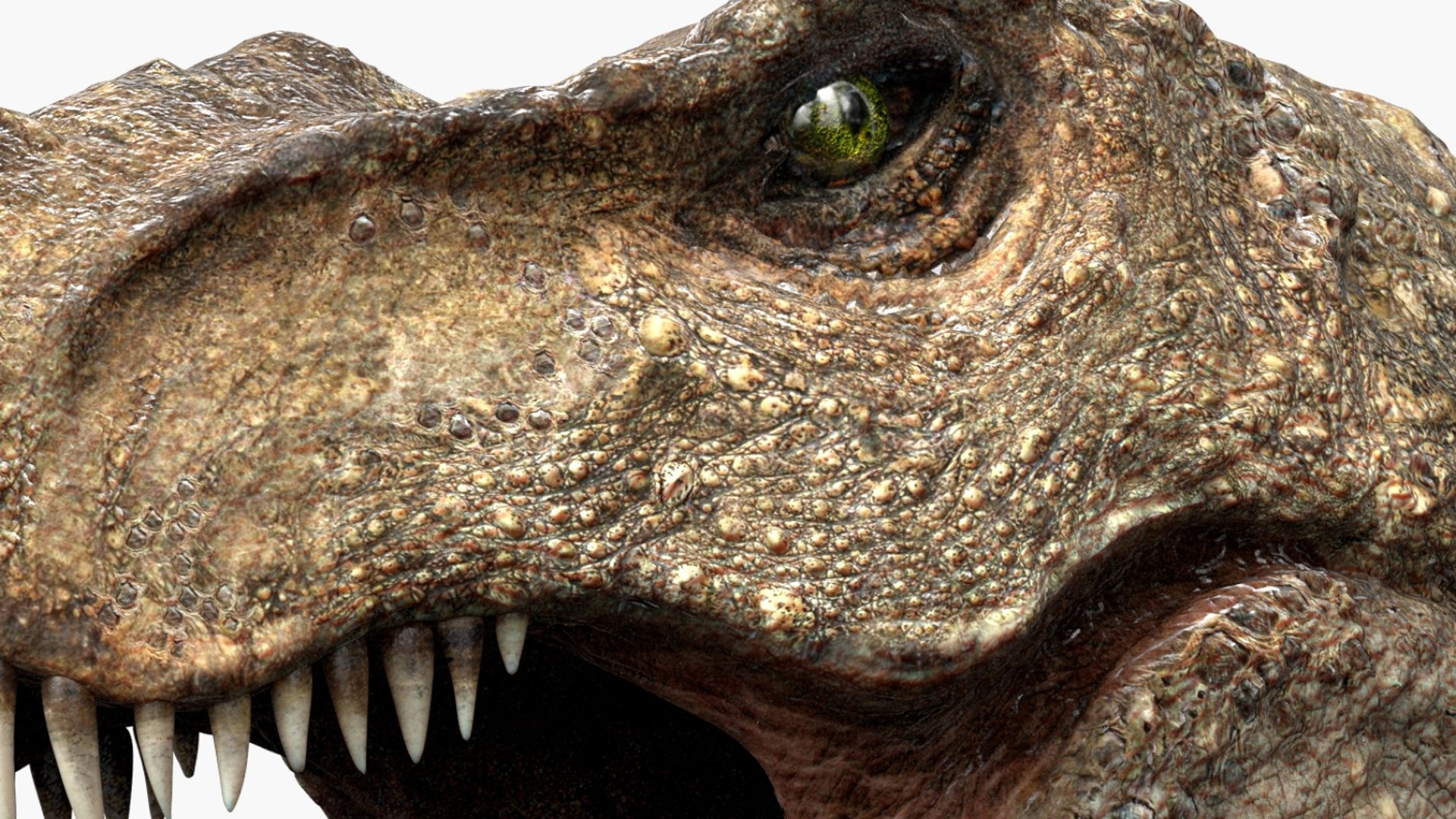 Tyrannosaurus Rex Animated Rigged 3D 3D Model - TurboSquid 2424378