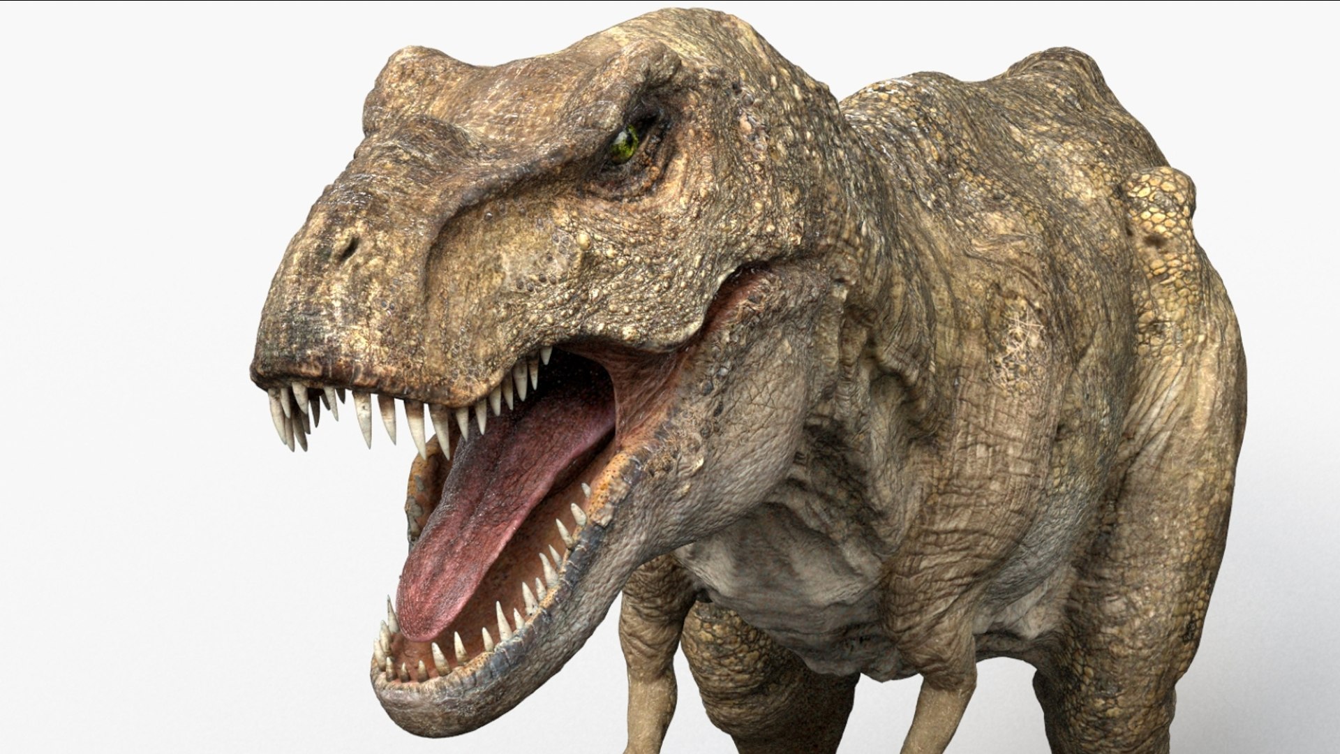 Tyrannosaurus Rex Animated Rigged 3D 3D Model - TurboSquid 2424378