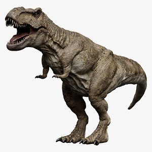 Tyrannosaurus Rex Animated Rigged 3D 3D model