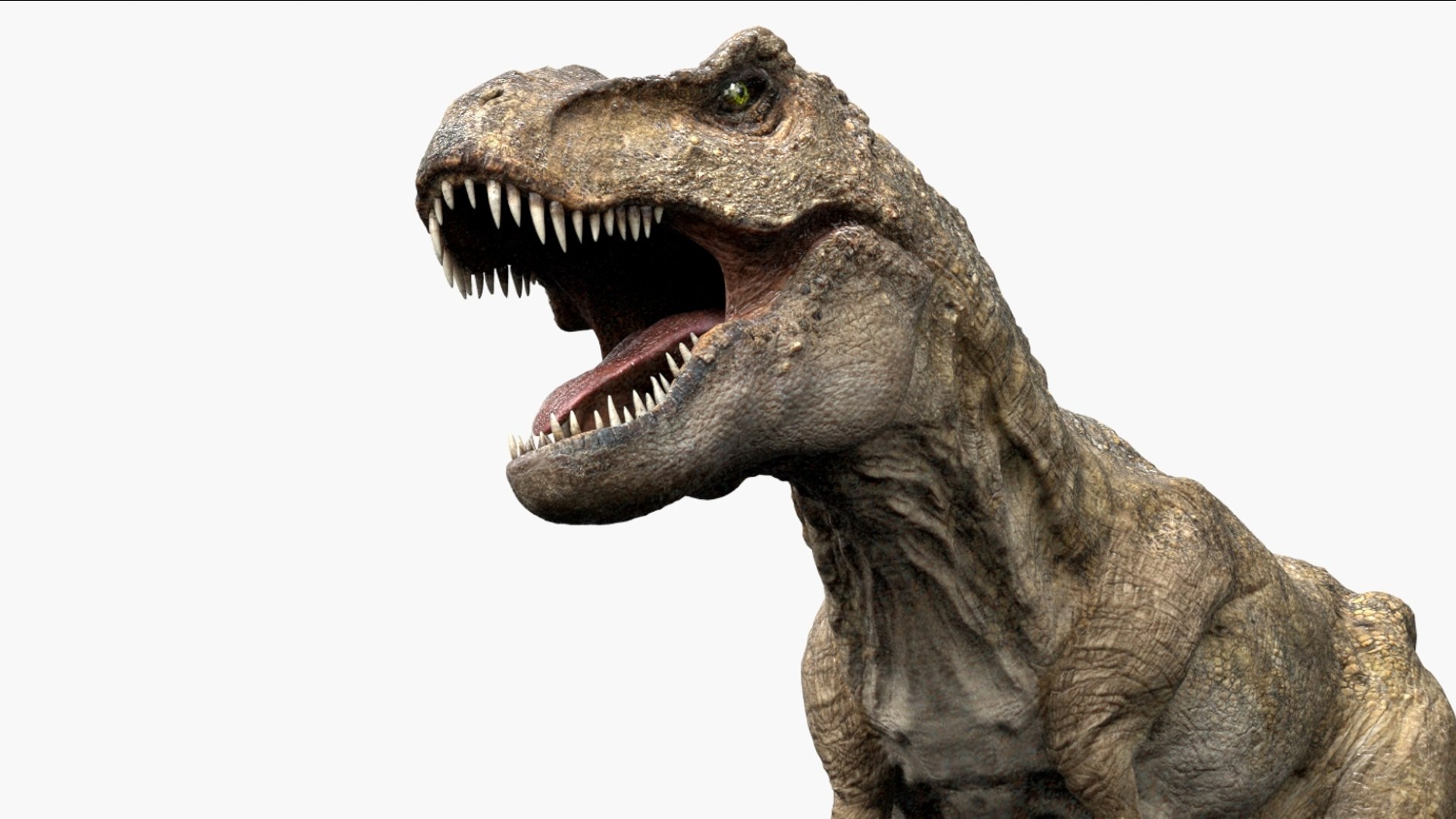 Tyrannosaurus Rex Animated Rigged 3D 3D Model - TurboSquid 2424378