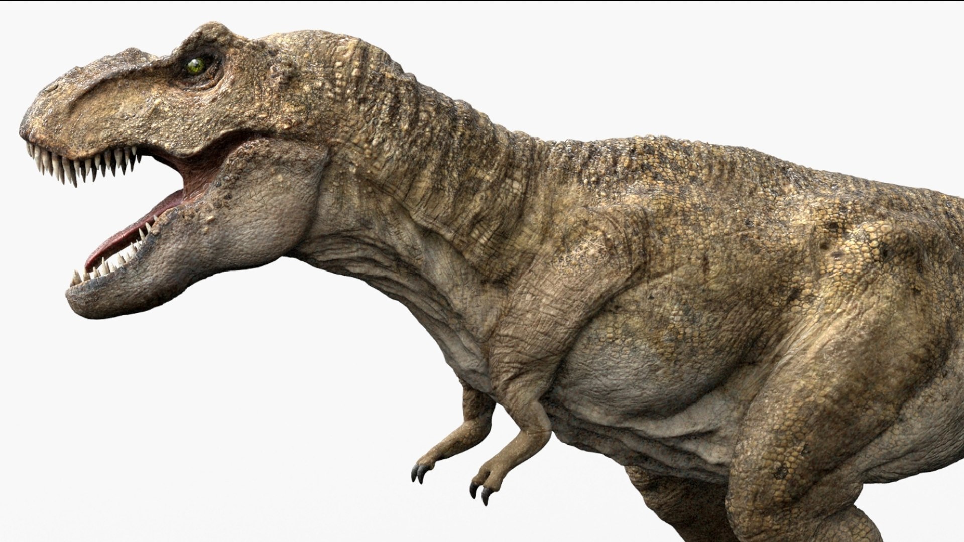 Tyrannosaurus Rex Animated Rigged 3D 3D Model - TurboSquid 2424378