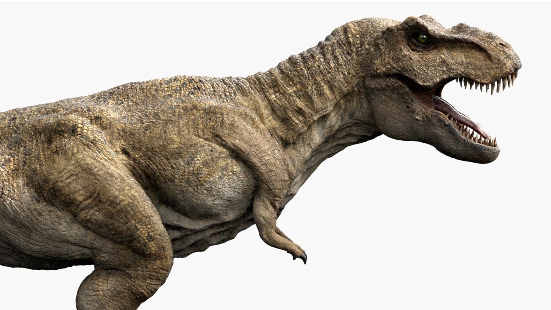 Tyrannosaurus Rex Animated Rigged 3D 3D Model - TurboSquid 2424378