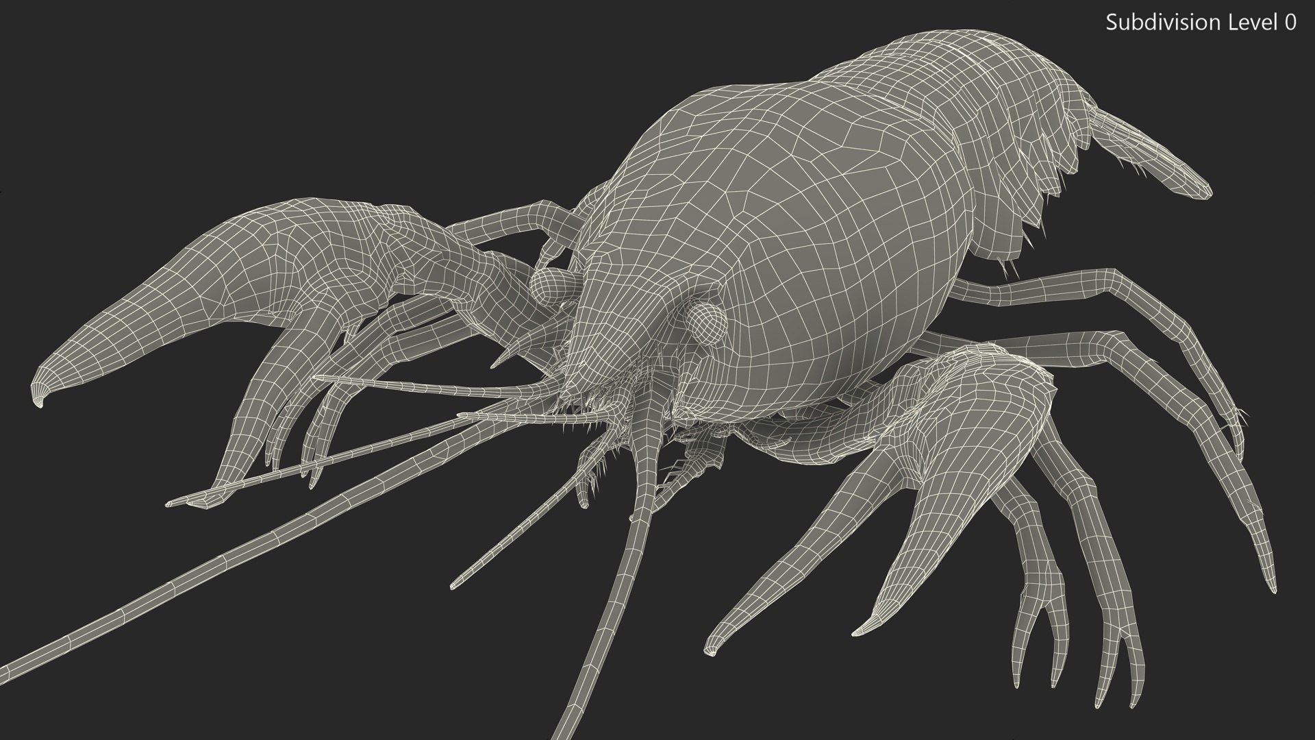 Paranephrops Rigged model TurboSquid 2163736
