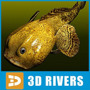 Oyster Toadfish by 3DRivers