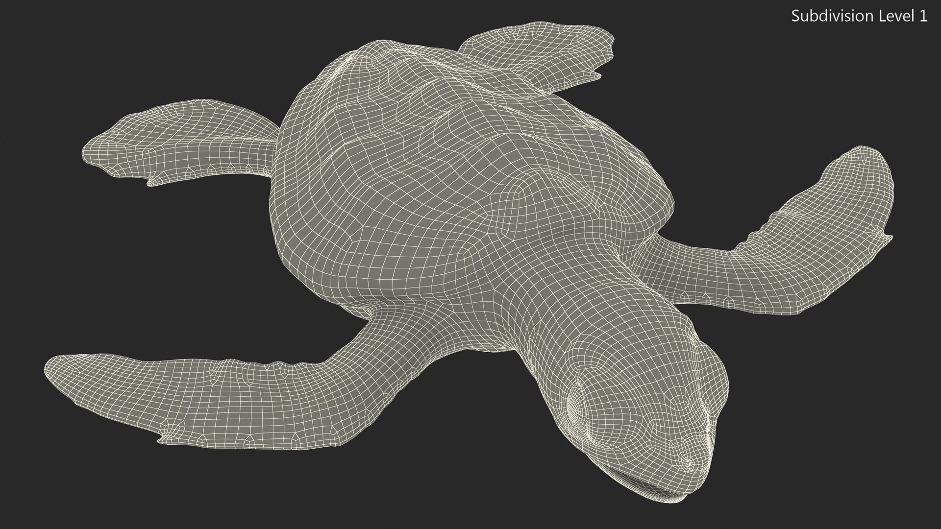 3D Baby Sea Turtle Black Rigged Model - TurboSquid 2197337