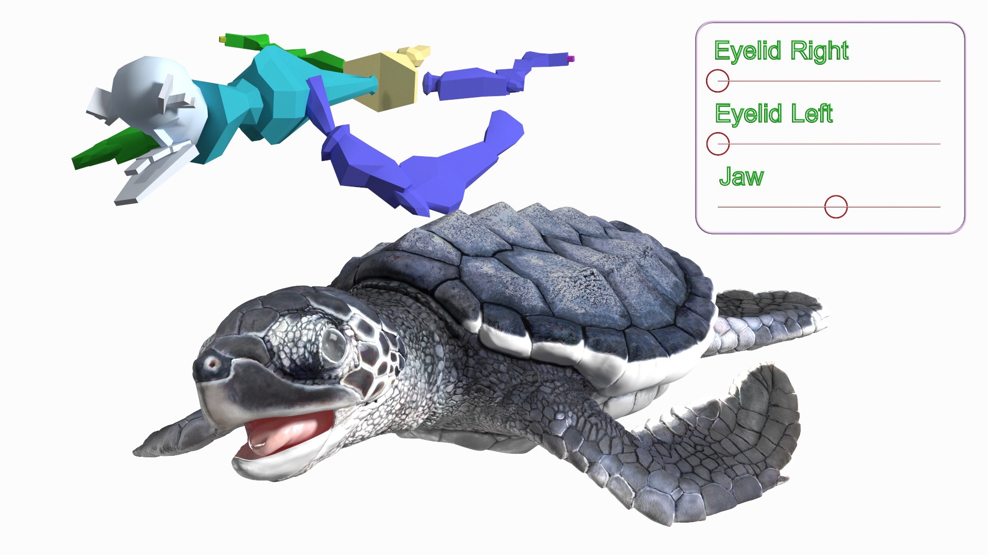 3D Baby Sea Turtle Black Rigged Model - TurboSquid 2197337