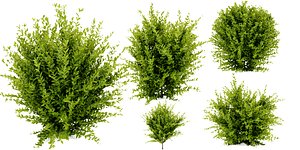 Collection plant vol 547 - blender model 3D model