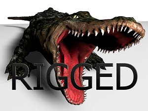 3D alligator rigged