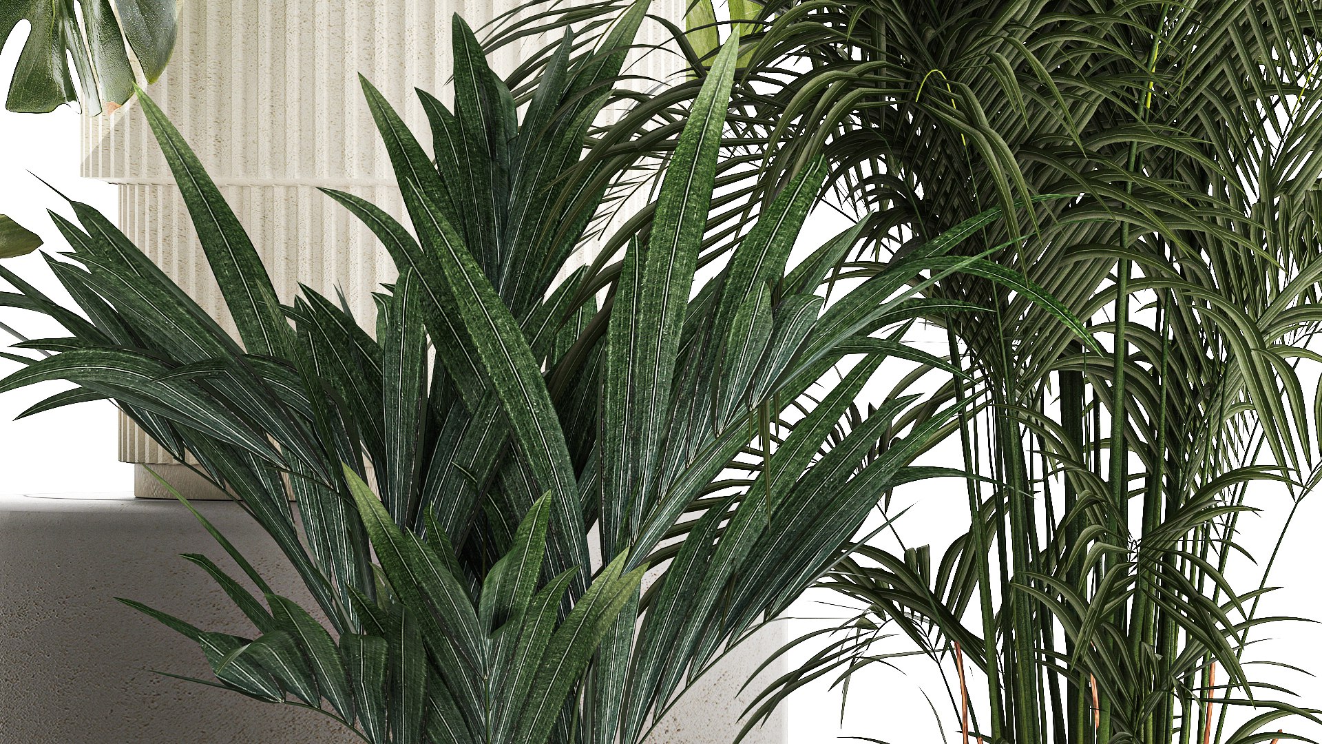 Set of beautiful plants in a flower pot for decor 1320 model https://p.turbosquid.com/ts-thumb/Oe/gHXEZB/59/1plants0806202306/jpg/1686313228/1920x1080/fit_q87/efa83e6c4ae3d024b4d6b593abfa33051a060d56/1plants0806202306.jpg