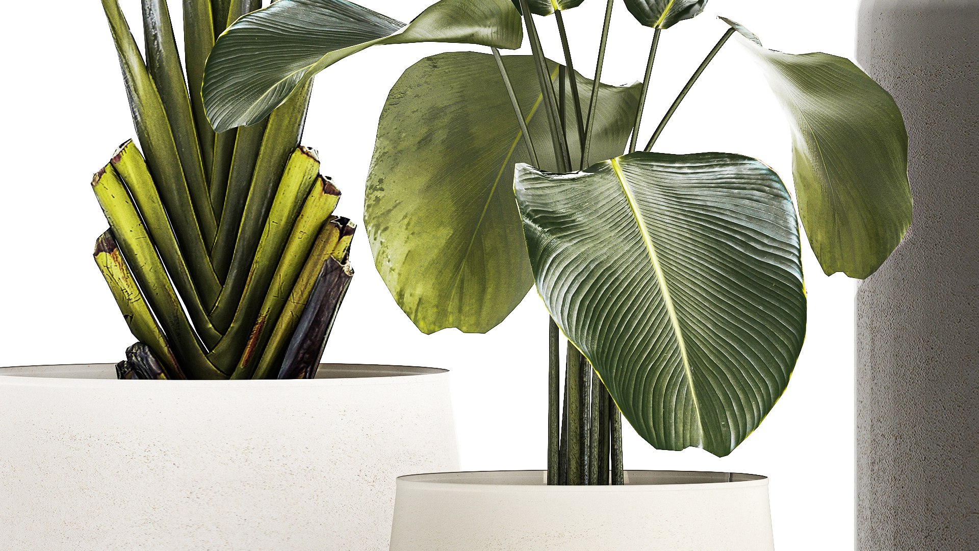 Set of beautiful plants in a flower pot for decor 1320 model https://p.turbosquid.com/ts-thumb/Oe/gHXEZB/6F/1plants0806202305/jpg/1686313227/1920x1080/fit_q87/7dcc583633fac785a2d7ec0d3929a92e423feacd/1plants0806202305.jpg