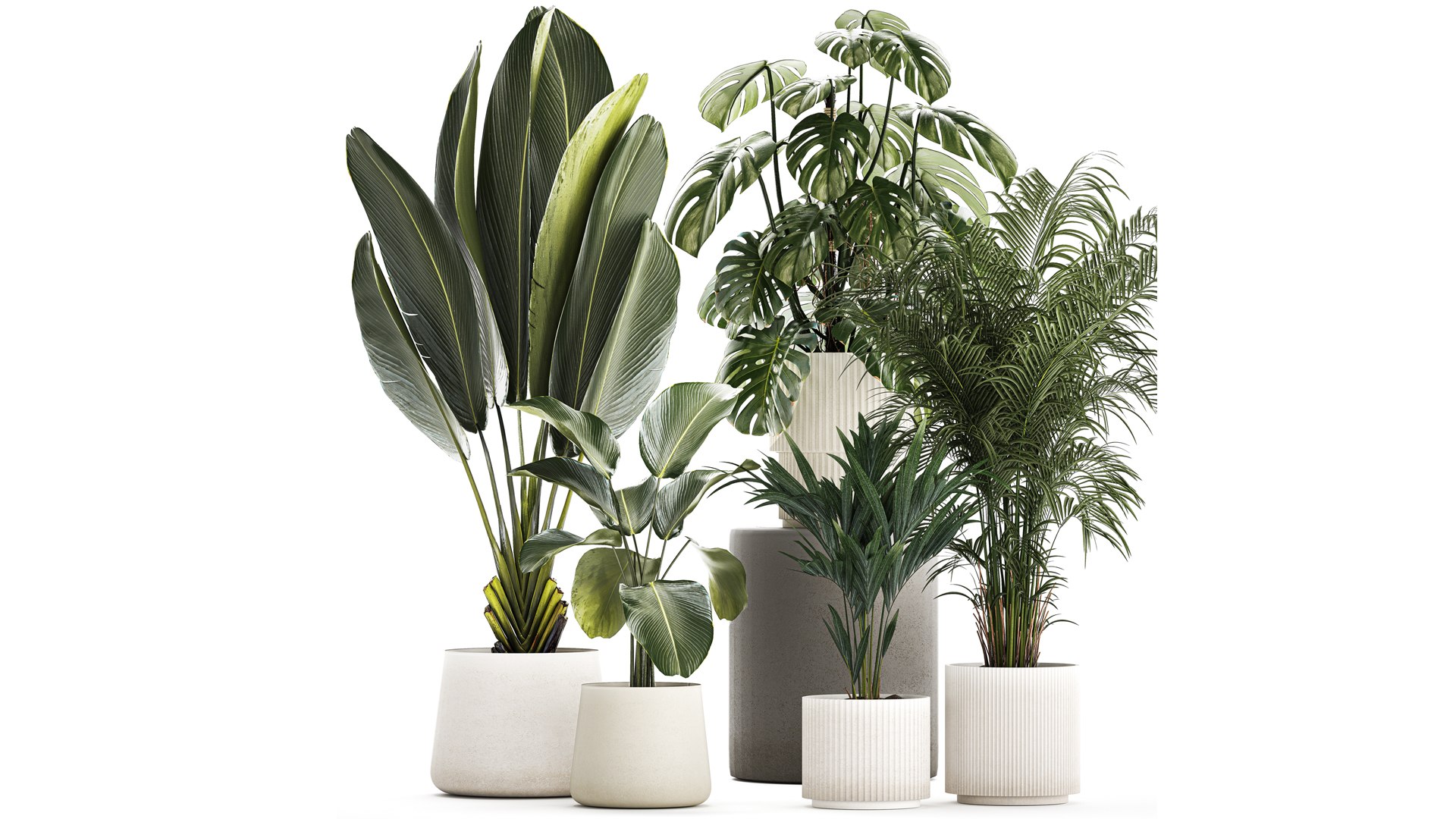 Set of beautiful plants in a flower pot for decor 1320 model https://p.turbosquid.com/ts-thumb/Oe/gHXEZB/EP/1plants0806202301/jpg/1686313223/1920x1080/fit_q87/4769bf82901c68907496ca8ef5fe2717684a789f/1plants0806202301.jpg
