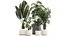 Set of beautiful plants in a flower pot for decor 1320