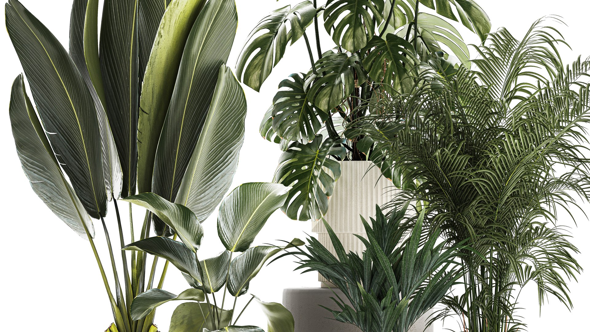 Set of beautiful plants in a flower pot for decor 1320 model https://p.turbosquid.com/ts-thumb/Oe/gHXEZB/JW/1plants0806202303/jpg/1686313225/1920x1080/fit_q87/2eed5e28e458e5724d9cbf20fb3b0385c2737868/1plants0806202303.jpg