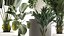 Set of beautiful plants in a flower pot for decor 1320