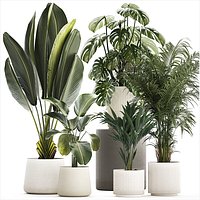 Set of beautiful plants in a flower pot for decor 1320