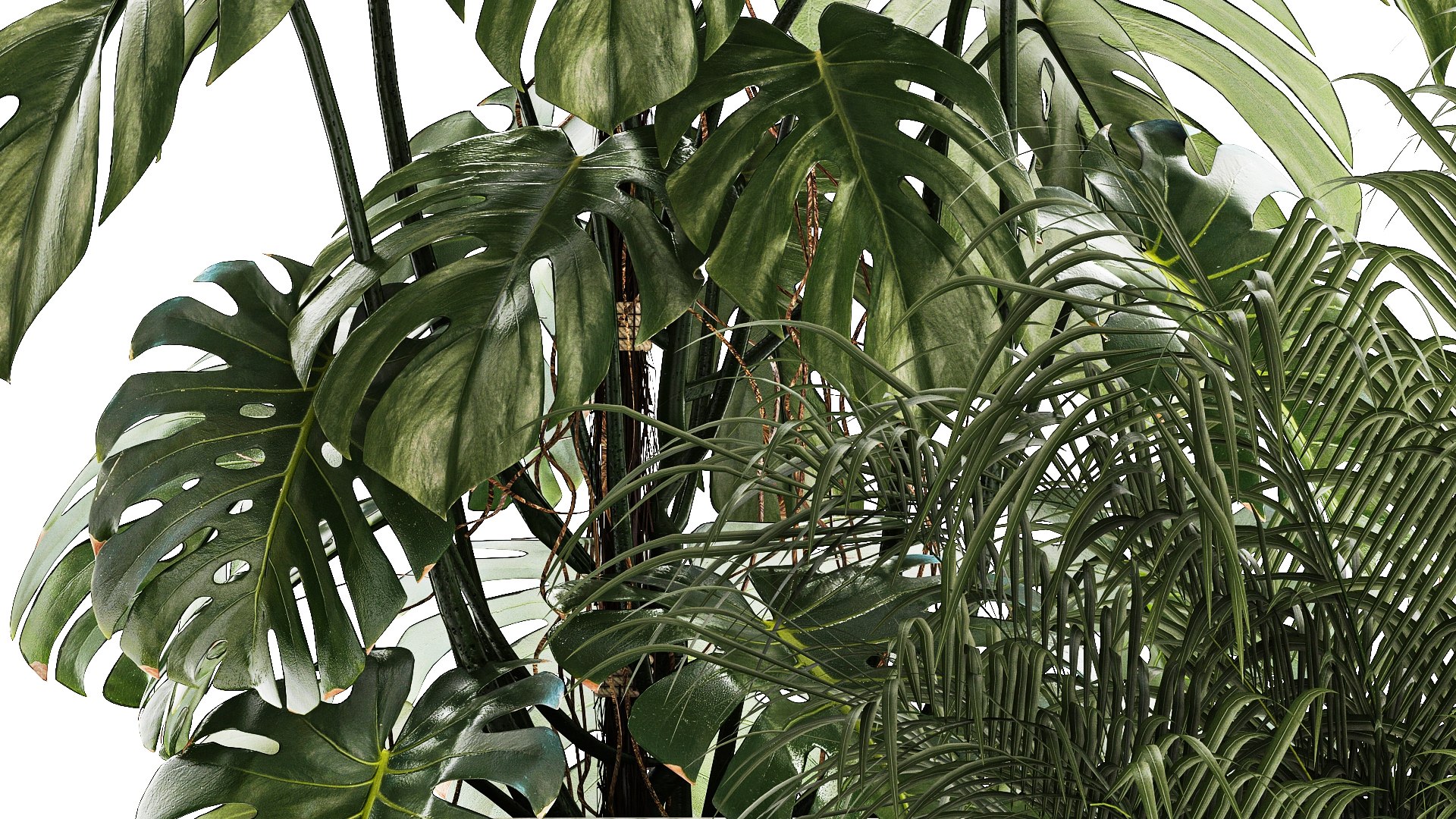 Set of beautiful plants in a flower pot for decor 1320 model https://p.turbosquid.com/ts-thumb/Oe/gHXEZB/YB/1plants0806202307/jpg/1686313228/1920x1080/fit_q87/9b3cf9ea2a48138fa23382c5b4f8426ab8be5af9/1plants0806202307.jpg